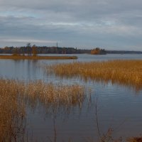 Вуокса. :: Елена Михайлова .