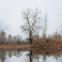 Tatyshev park, Russia, Siberia, Krasnoyarsk. :: Igor Novikov