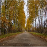 Тёплый октябрь 2018 №4 :: Андрей Дворников