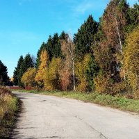 Осенняя дорога на дачу! :: ирина 