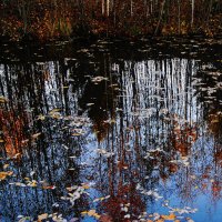 ОСЕННЯЯ РЯБЬ. :: Виктор Никитенко