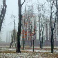 Осенний туман :: Александр Алин