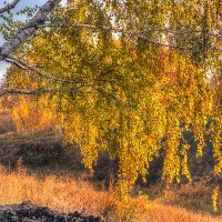 Осень :: Анатолий Евстропов