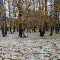 Первый снег в октябре . :: Мила Бовкун