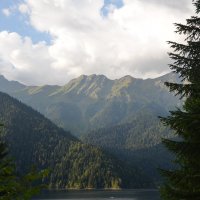 Абхазия ,озеро Рица :: Наталья Мельникова