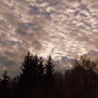 Осеннее небо . :: Мила Бовкун