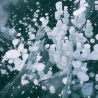 Пузыри в байкальском льду :: Сергей Козинцев