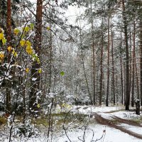 В пригороде Смоленска :: Милешкин Владимир Алексеевич 