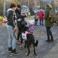 Северодвинск. Чай, собака, Пастернак... и булочки с кунжутом (дворовый праздник) :: Владимир Шибинский