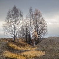 Поздняя осень... :: Влад Никишин