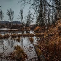 "Октябрь. Грязник" :: Максим Токарев