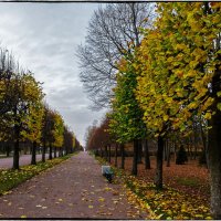 Осенний парк :: Александр 