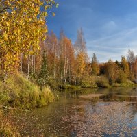 Осеннее озеро. :: Oleg S 