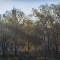Туманное утро :: Сергей Цветков