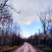 Осенняя дорога. :: Фёкла 