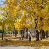 В осеннем парке городском :: Сергей Тарабара