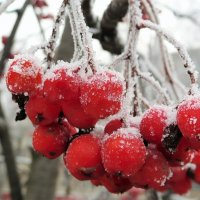 предзимье :: Владимир Холодницкий