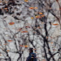 Осенний этюд :: Roman Mordashev