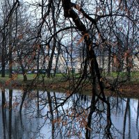 Последние листья :: Наталья Лунева 