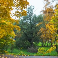 Прогулка по осеннему городу (65) :: Виталий 