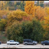 ОСЕНЬ. Листья желтые по городу кружатся...(5) :: Юрий ГУКОВЪ
