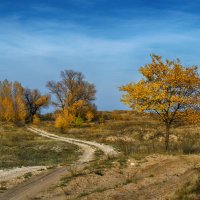 Дороги Осени :: Александр Афромеев