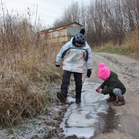 Крепкий лёд. :: Галина .