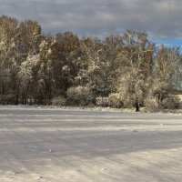 Первый снег :: Сергей Жуков
