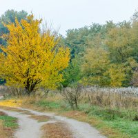 *** :: Александр 