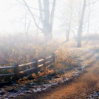 Плес....утро на горе Свободы..... :: Сергей Клапишевский