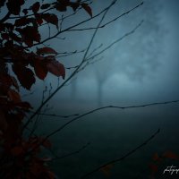 Fog\\Туман :: Вадим Есманович