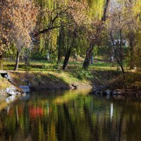 Отражение осени. :: barsuk lesnoi