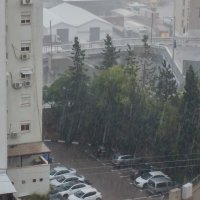 Дождь. :: Валерьян Запорожченко