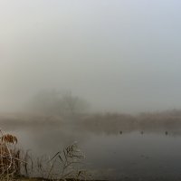 Осенний туман :: Владимир M