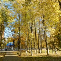 Осенний бал в парке :: Анатолий Кувшинов