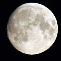 Луна :: Ната57 Наталья Мамедова