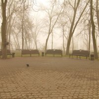 дневной туман :: Владимир Зырянов