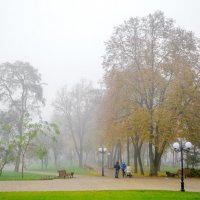В сквере туман :: Сергей Тарабара