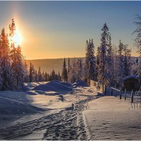 Мороз и солнце... :: Владимир Чикота 
