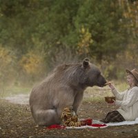 Завтрак с медведем :: Ольга Князева