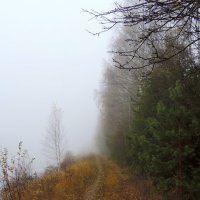 Осень туманная :: Елена Якушина