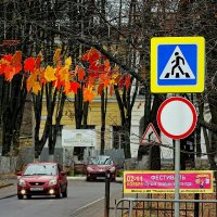 Новый дорожный знак "Осторожно! Осень!" :: Татьяна Помогалова