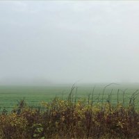 Туман.... :: Валерия Комова