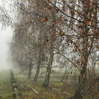 Осень... :: Валерия Комова