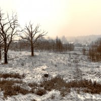 Первый снег :: Valeriy(Валерий) Сергиенко