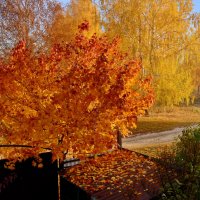 Осень золотая :: Валерий Толмачев