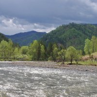 лишь только приблизятся первые грозы... :: nataly-teplyakov 