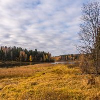 *** :: Владимир Безбородов