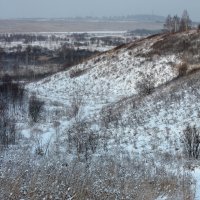 Первый снег :: Радмир Арсеньев