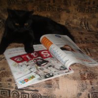 Кошечка читает. :: Sall Славик/оf